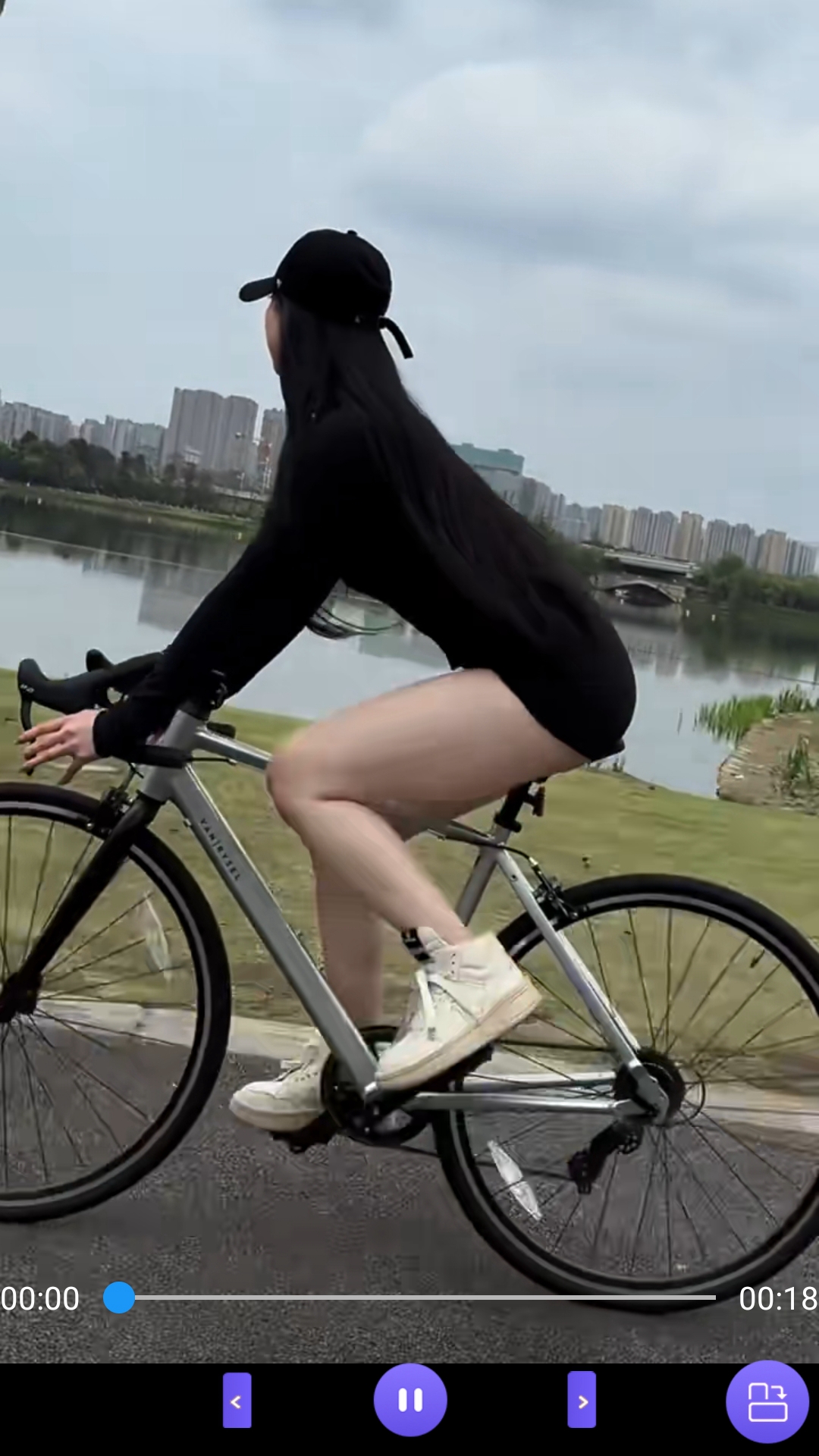 大长腿的昆虫截图